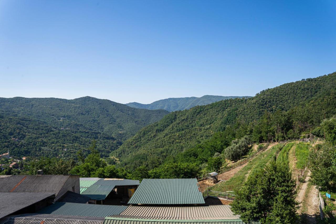 01234 - Agriturismo La Marpea, Esperienza In Mezzo Alla Natura E Al Cibo Tipico Italiano Villa Terisso Luaran gambar